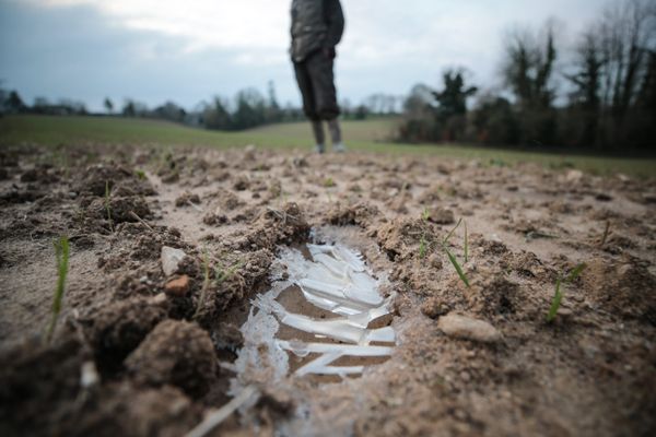 Le gel est attendu en fin de semaine dans l'ouest héraultais.