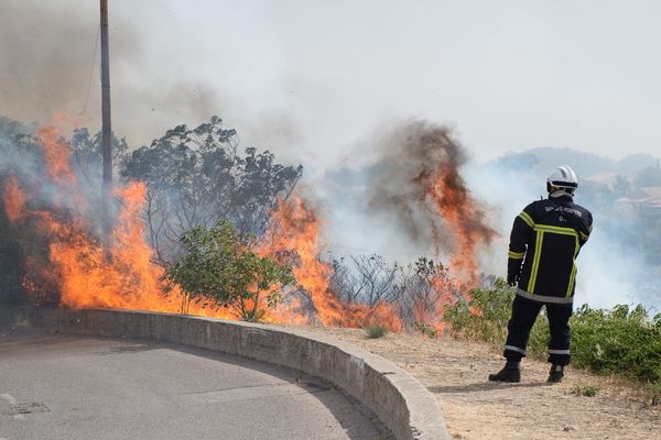 L'incendie avait ravagé 500 hectares de végétation;