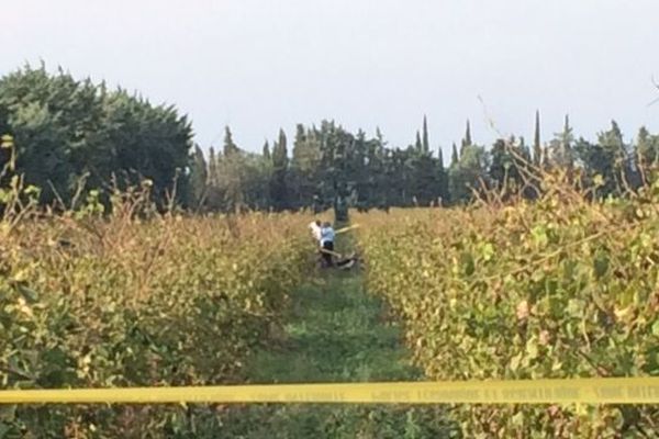 C'est dans ce champ de vigne à Beaucaire que s'est écrasé un petit avion ce vendredi aux alentours de midi - 26 octobre 2018