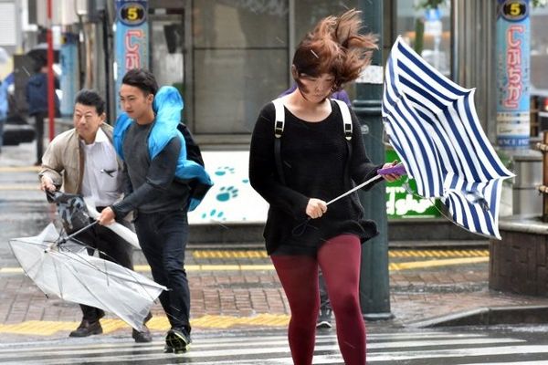 De la pluie et du vent, au Japon comme en Pays de la Loire aujourd'hui !