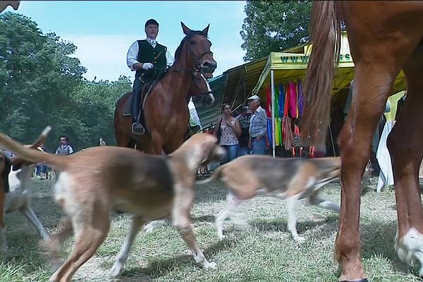 Fête de la chasse à Roquebrune-sur-Argens. 