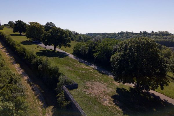 La ville de Belfort lauréate du grand prix national de l'arbre 2019