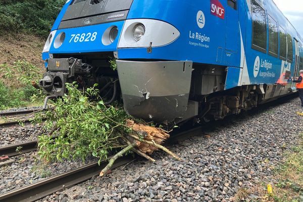 Mardi 17 septembre, un train a heurté un sapin tombé sur les voies, entre Roanne et Lyon.