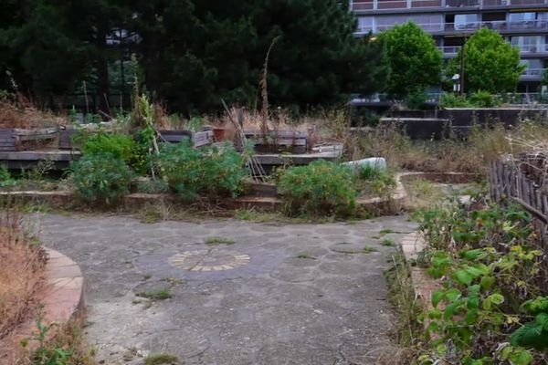 La mairie veut détruire leurs jardins : "on a décidé de ne pas partir et de continuer à cultiver"