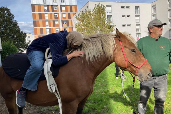 Les chevaux apportent du bonheur aux habitants de ce quartier populaire de Clermont-Ferrand.