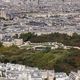 "Paris est une ville très dense, très minérale et carencée en espaces verts", explique Christian Thibault, directeur du département environnement de l'Institut Paris région.