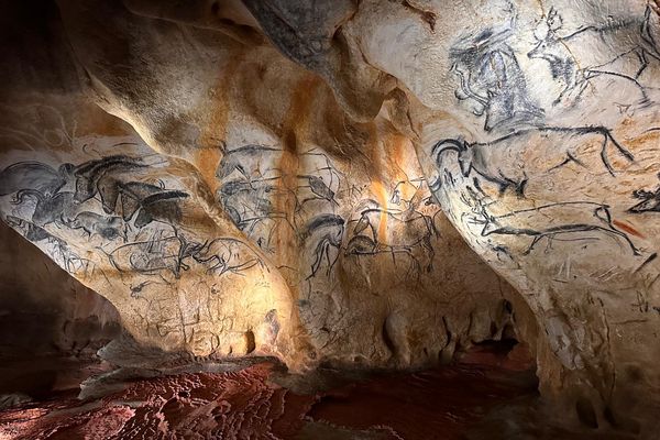 Une cavalcade sauvage peinte il y a 36 000 ans dans la grotte Chauvet