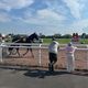 Un cheval de course à l'hippodrome de Reims.