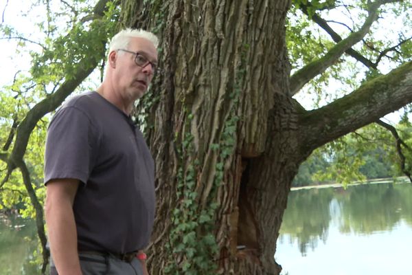 Le Propriétaire du chêne vandalisé n'en revient toujours pas