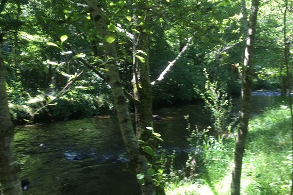 La Vienne s'étend sur 372 kilomètres du plateau de Millevaches jusqu'à la Loire. 