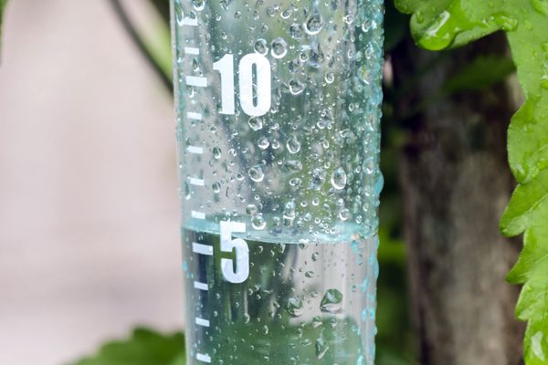 En mai 2024, environ 65% des nappes phréatiques en France ont un niveau supérieur à la normale mensuelle.