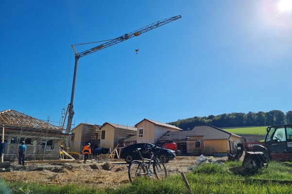 Lien plastique cranté - Emis France