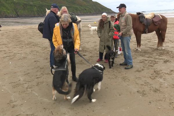 A Plérin, rassemblement contre l'interdiction de plages aux animaux à Plérin