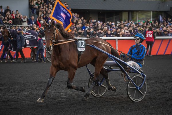 Idao de Tillard franchit la ligne d'arrivée du Prix d'Amérique 2024, en vainqueur, ce dimanche 28 janvier.