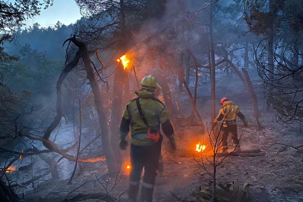 À Saint-Auban, 80 sapeurs-pompiers, dont des renforts extra-départementaux, ont lutté contre les flammes ce samedi.