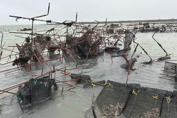 Dans le Morbihan, le parc à huîtres d'Eric Cailloce à Locmariaquer a été entièrement détruit par la tempête Ciaran