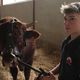 Mathéo et son veau Vinicius participeront au concours des jeunes meneurs du Sommet de l'Elevage de Clermont-Ferrand.