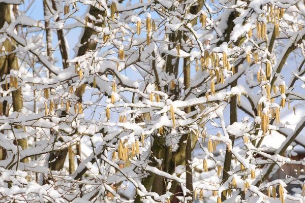 Le froid et le vent sont annoncés dans la région