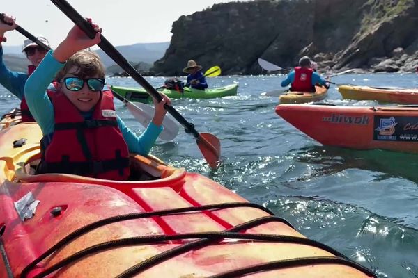 Neuf clubs sont partenaires pour cette opération de sensibilisation aux UVS pour protéger les fonds marins.