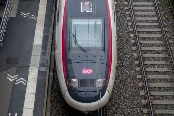 Dans les Alpes, il y a 30 et 40% de grévistes sur la partie TER et 60% sur la partie SNCF, ce vendredi 16 février.