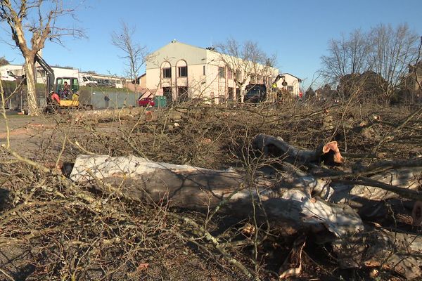 Les platanes de la place du Foirail, à Objat, ont été abattus. Le site va être réaménagé et d'autres arbres seront replantés.