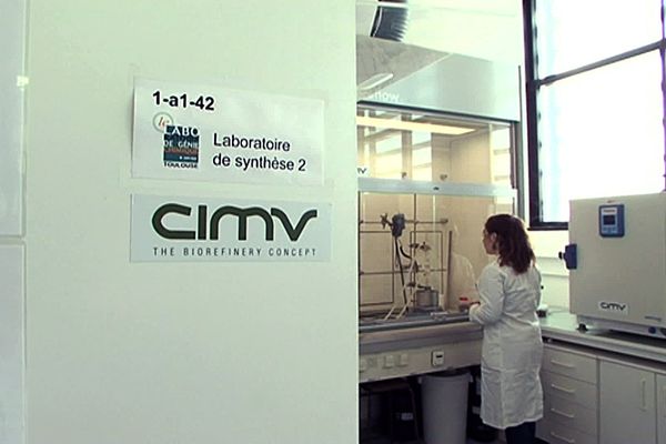 L'entreprise CIMV, installée à Labège (31) spécialisée dans le raffinage d'éléments végétaux devait implanter une usine dans le Tarn. Faute de financement, le projet a été stoppé.