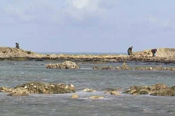 L'écluse à poissons de St-Clément-des-Balaines a été endommagée par les grandes marées.