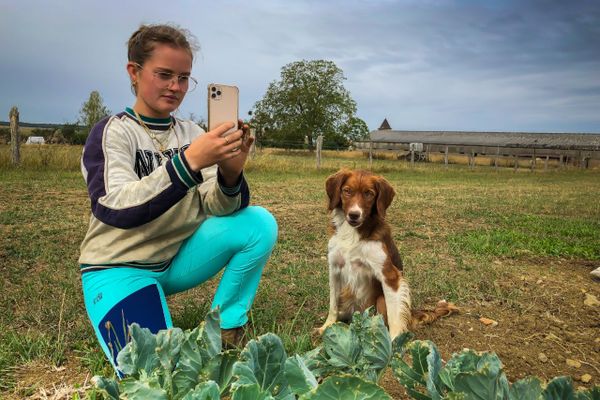 Eloïse Gross passe du tracteur au smartphone pour raconter son quotidien de maraîchère sur Instagram