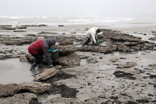 Les pêcheurs à pied notamment doivent redoubler de vigilance face au retour de la marée. Photo ici prise à Wimereux