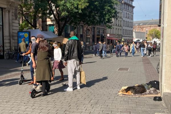 Les commerçants dénoncent la hausse des incivilités au centre-ville de Strasbourg, comme ici, rue des Grandes Arcades.