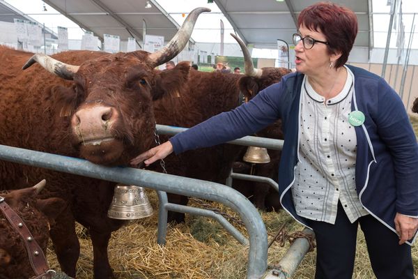 Présente au Sommet de l’élevage à Clermont-Ferrand mercredi 4 octobre, la présidente du premier syndicat agricole de France Christiane Lambert a jugé "scandaleuse" l'attitude du distributeur Michel-Edouard Leclerc, accusé de refuser toute augmentation tarifaire qui permettrait de valoriser les productions agricoles en crise.