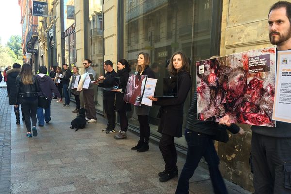 Une cinquantaine de militants érigent un couloir humain en exposant des photos d'intérieurs d'abattoirs.