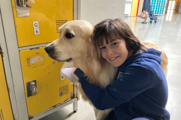 Alice et Suzy, la chienne du collège Roger Vercel de Dinan