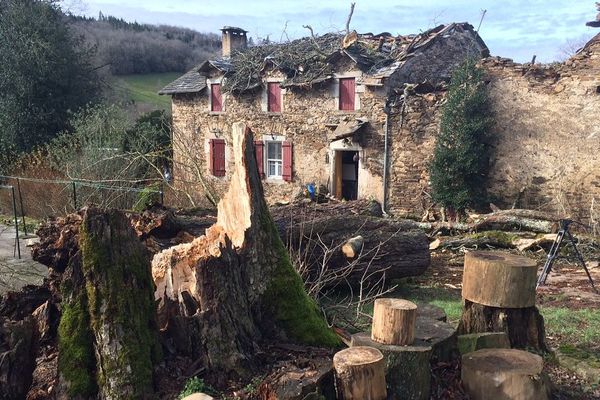 L'arbres s'est abattu sur la maison