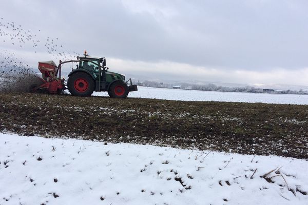 Les agriculteurs ont travaillé un terrain de Riom encore en friche. Une action pour protester contre la perte du foncier agricole. 