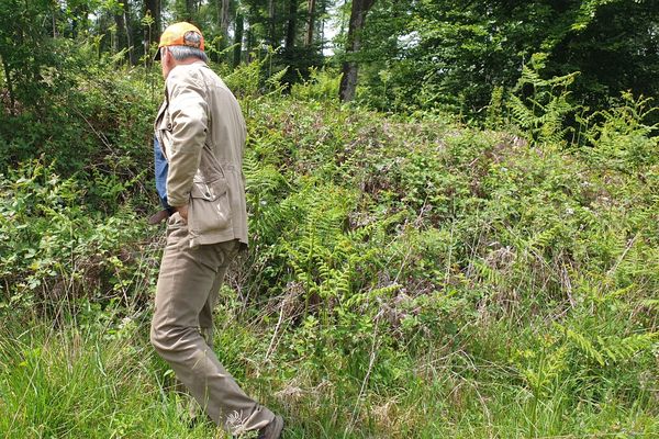 De nombreux bénévoles ont participé à de multiples battues sur la ville et dans la forêt de Fougères pour retrouver la septuagénaire disparue