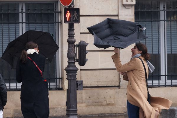 Les quatre départements de Bourgogne seront placés en vigilance jaune vents violents ce jeudi 28 mars