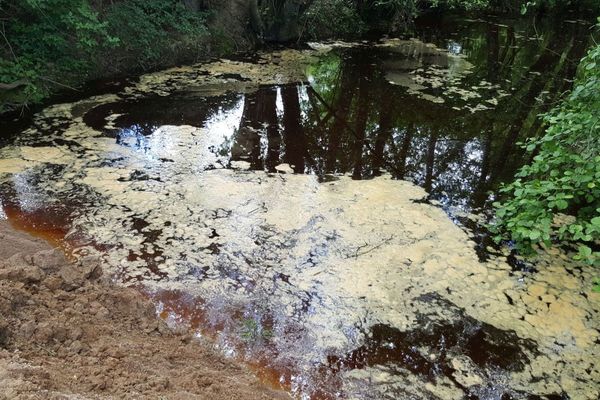 Du chlorure ferrique s'est écoulé dans la rivière la Sorne à Blanzy, en Saône-et-Loire, mercredi 29 mai 2019