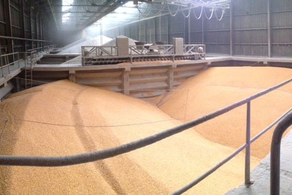 Dans ce silo 1800 tonnes de grain