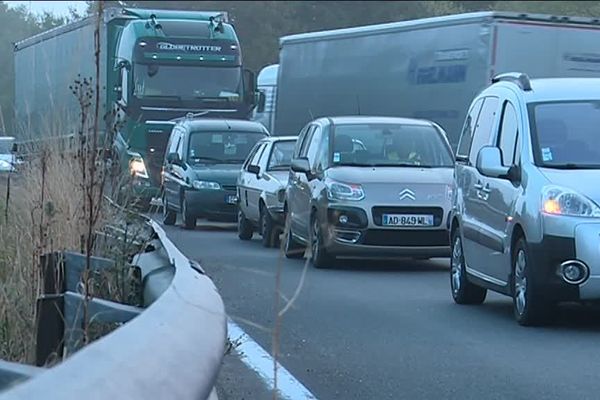 Opération escargot dans le Loiret organisée par l'ADUS