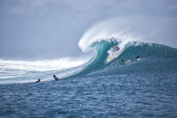 Surf - les vagues tant attendues...