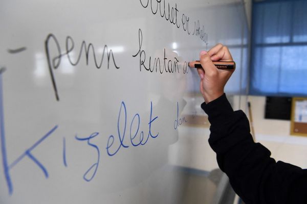 Ce dimanche 8 septembre, le président de la Région Bretagne assure que des discussions sont en cours pour aider les écoles Diwan, le réseau d'enseignement en breton à faire face à ses difficultés financières au travers d'une aide exceptionnelle.