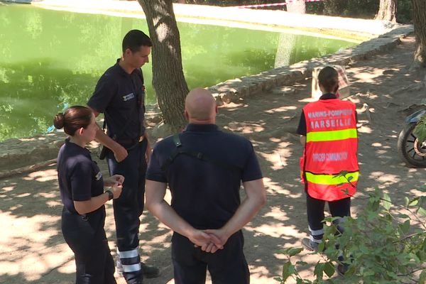 Des équipes municipales cherchent des traces du serpent