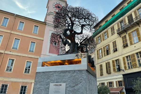 "L'oulivié" oeuvre de Laurent Bosio a pris place sur la place du Palais de justice à Nice.