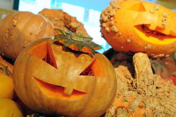 Pour fêter Halloween ou manger une soupe : la courge est à la mode