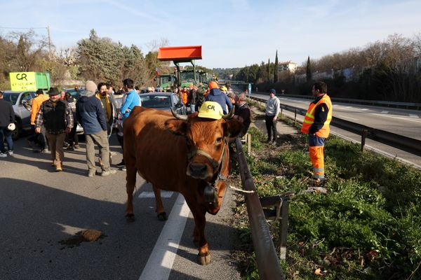 Autoroute A51 bloquée au niveau d'Aix-en-Provence le 29 janvier 2024