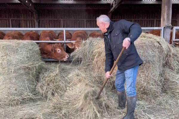 Jean-Denis Dubois est éleveur de vaches laitières en agriculture biologique à Bruges en Gironde.