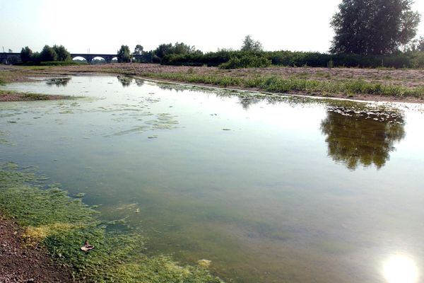 Le corps de la femme de 89 ans a été retrouvé dans la Loire.