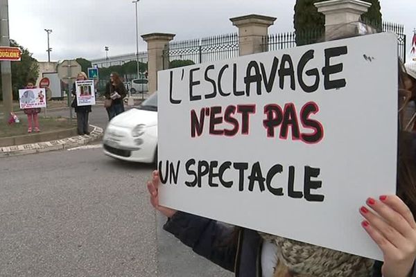 Le 7 janvier 2018, des manifestants se sont rassemblés devant le cirque Bouglione à Montpellier.