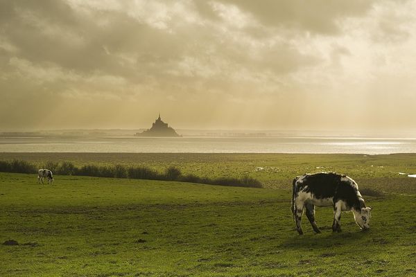 Un horizon nuageux face au Mont-Saint-Michel, ce DIMANCHE.